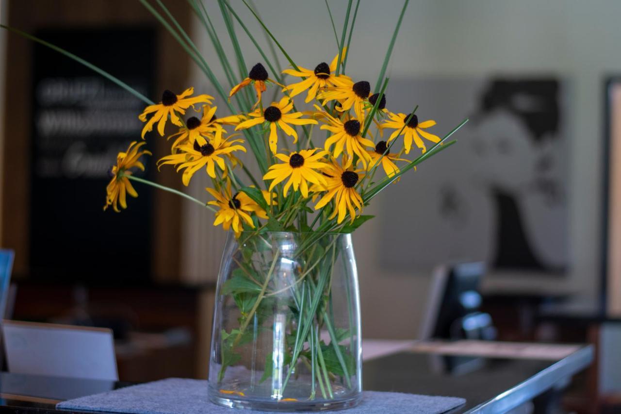 Vitalhotel Quellengarten - Bed&Breakfast Lingenau Eksteriør bilde